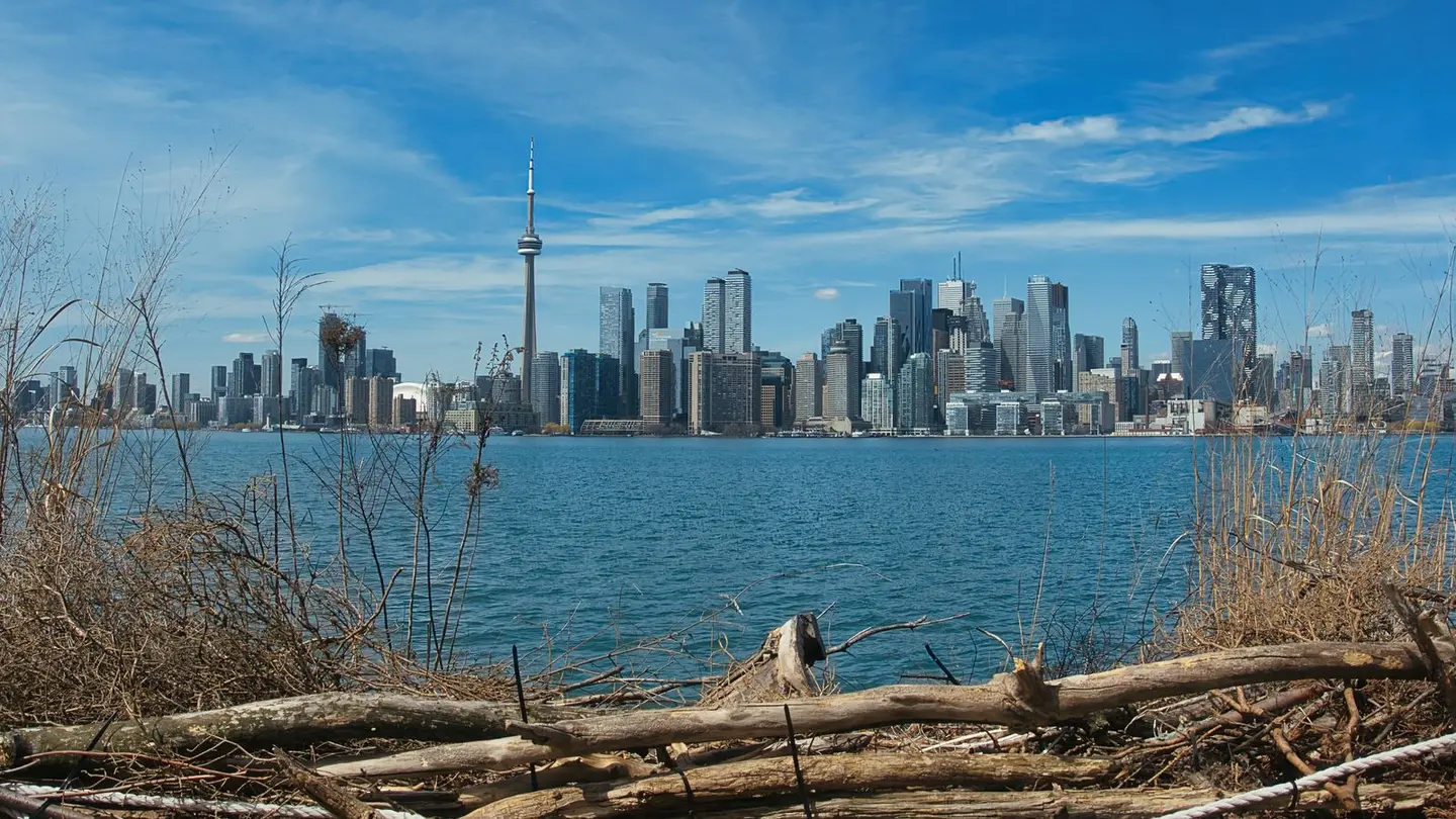 Toronto skyline with cn tower view.