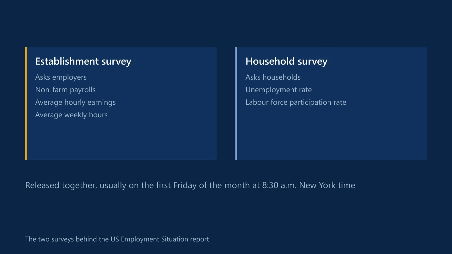 The establishment and household surveys in the US jobs report and the figures each produces
